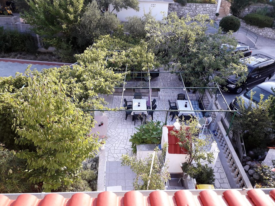 House | Property grounds