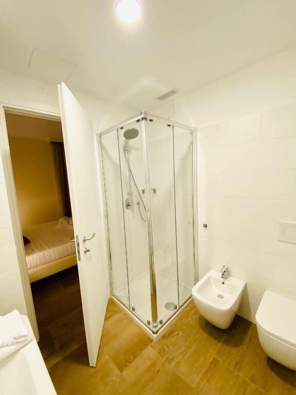 Shower, free toiletries, hair dryer, bidet
