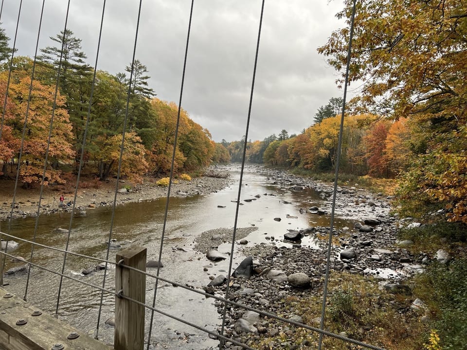 Wire bridge - 15 minute walk