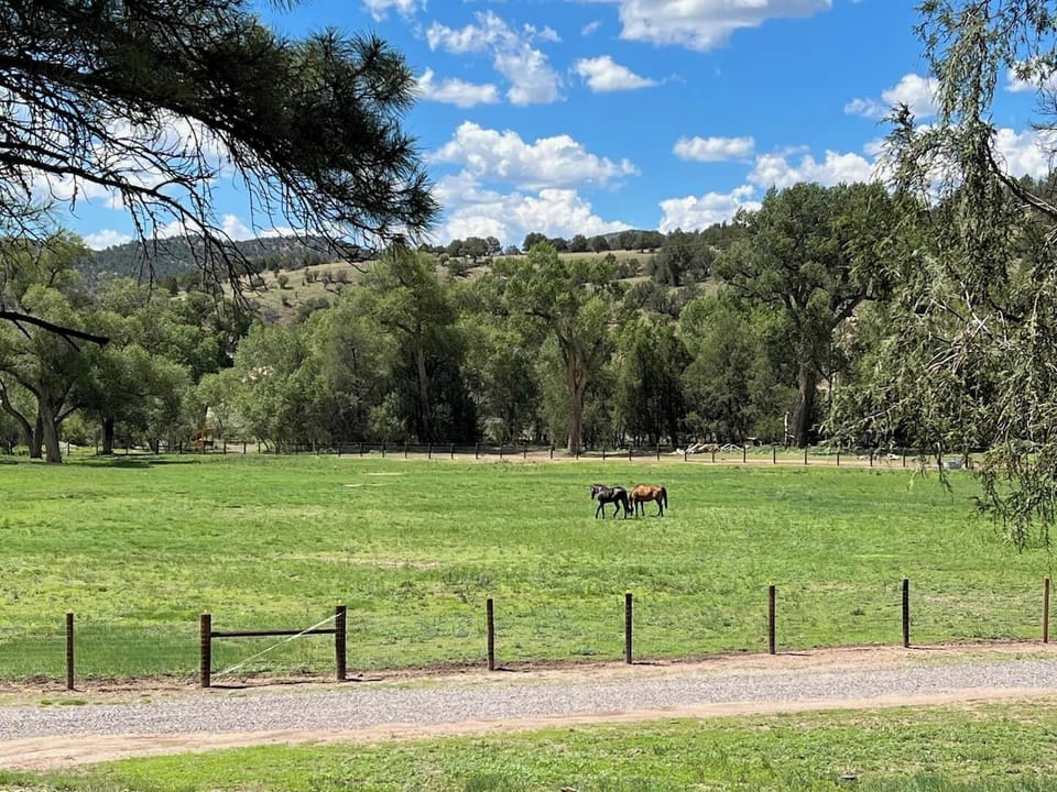 View from the front covered patio of the horses grazing in the valley in the summertime