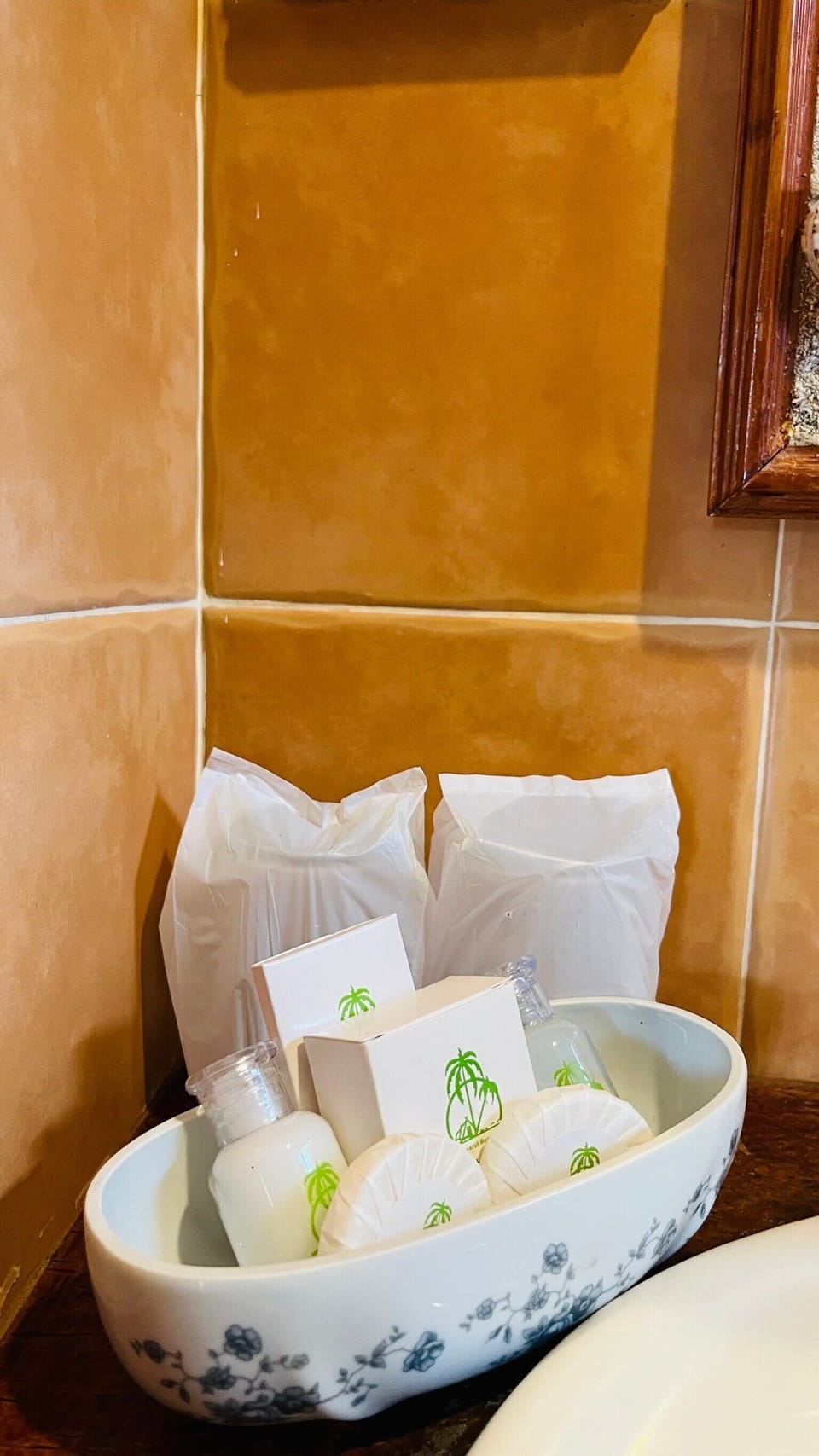 1 Bedroom Villa | Bathroom amenities | Shower, towels, soap, shampoo