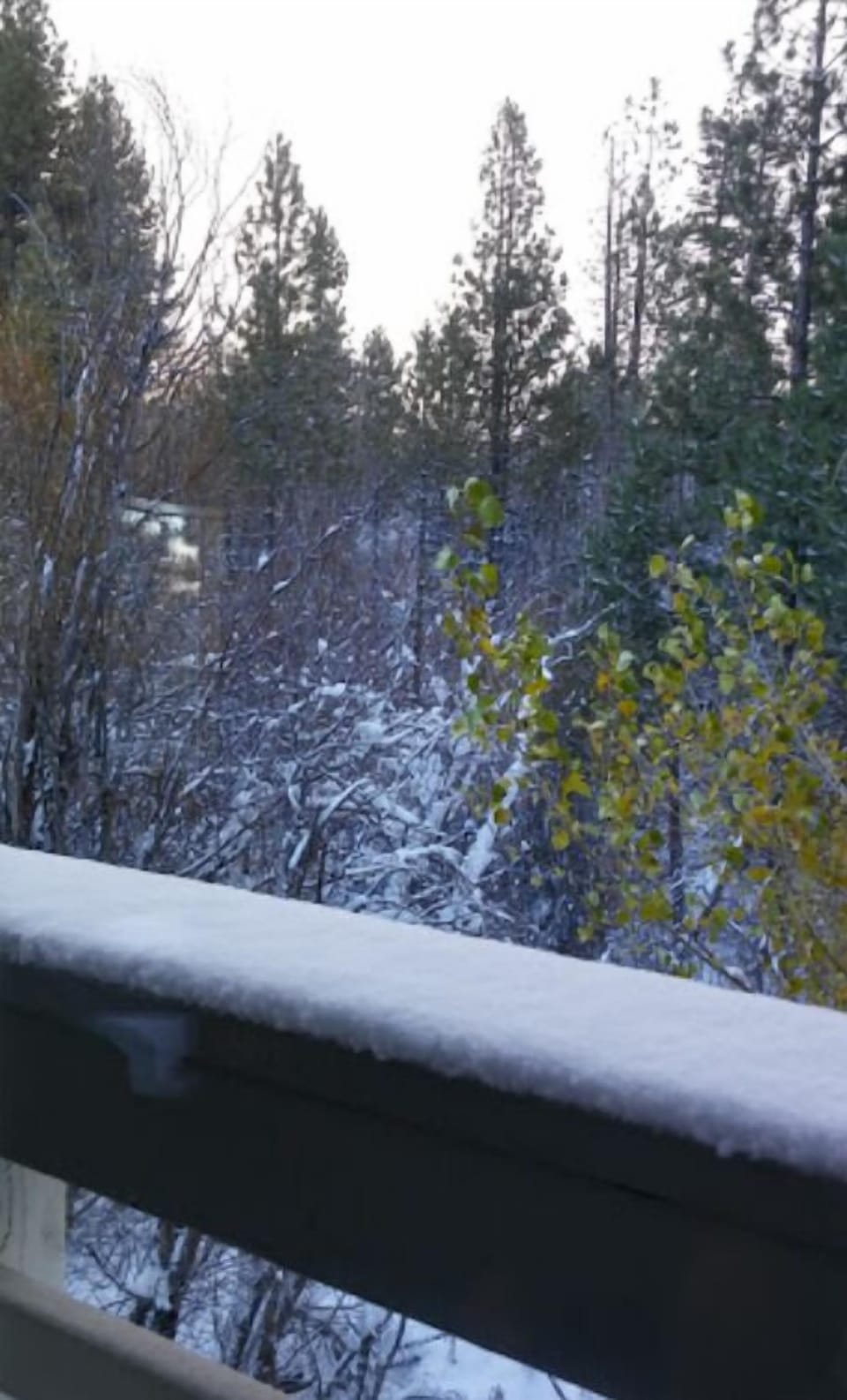View from property
