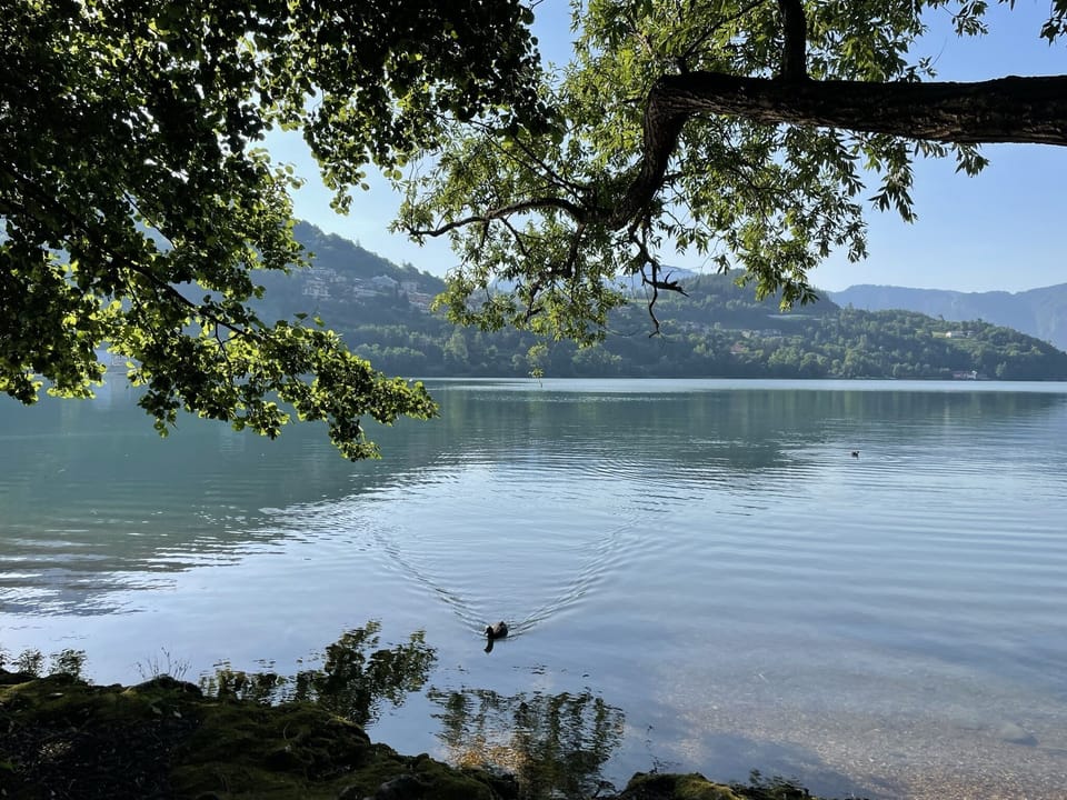 Lake