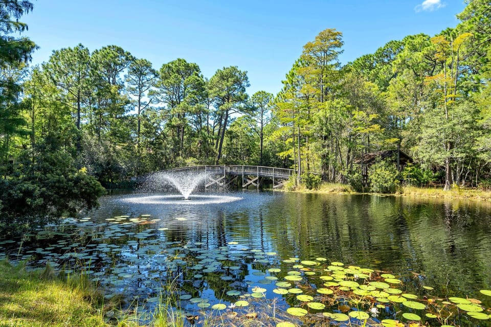 Beautiful pond views