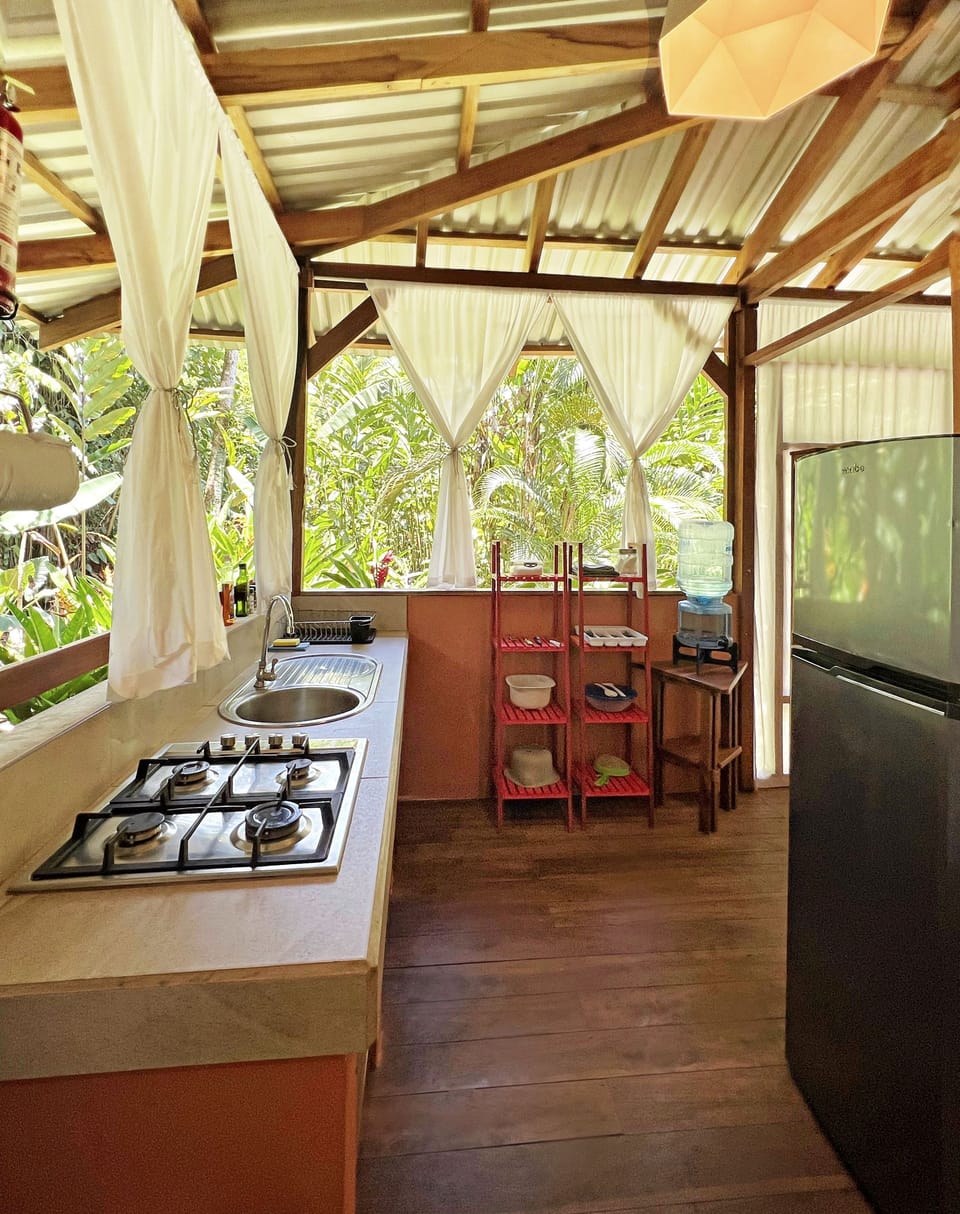 Stove, utensils and fridge