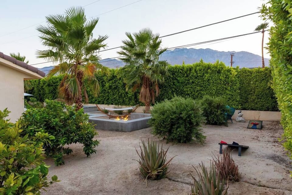 Dusk backyard overview with arc hammock, desert landscaping, palm trees, and mountain backdrop — private and serene