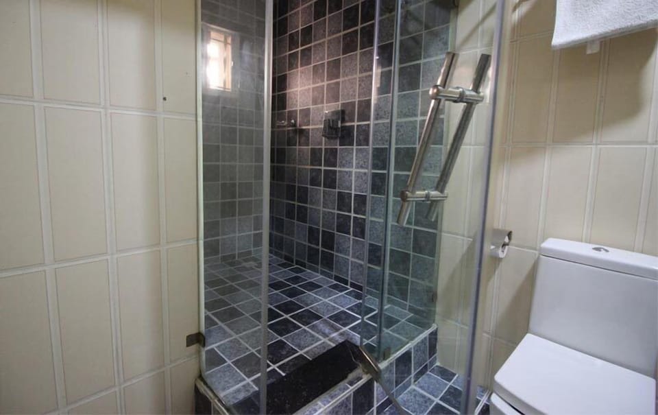 Shower, free toiletries, hair dryer, towels
