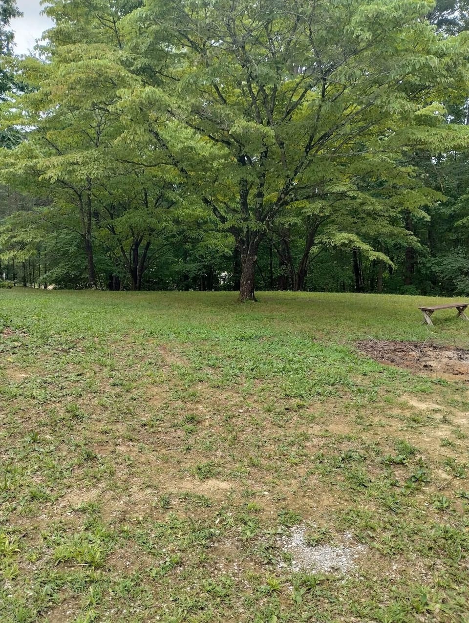 Plenty of level shaded areas for enjoying the outdoors