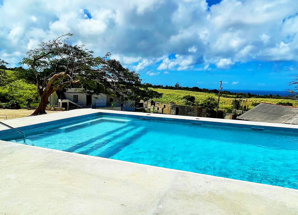 Large (20'x40') pool with beautiful west coast sea view