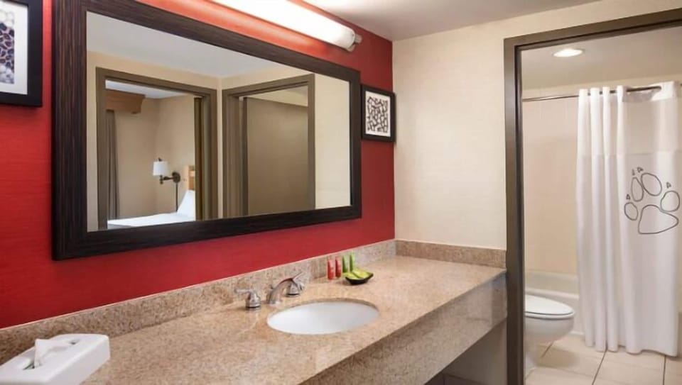 Bear Cub Suite | Bathroom | Combined shower/tub, free toiletries, hair dryer