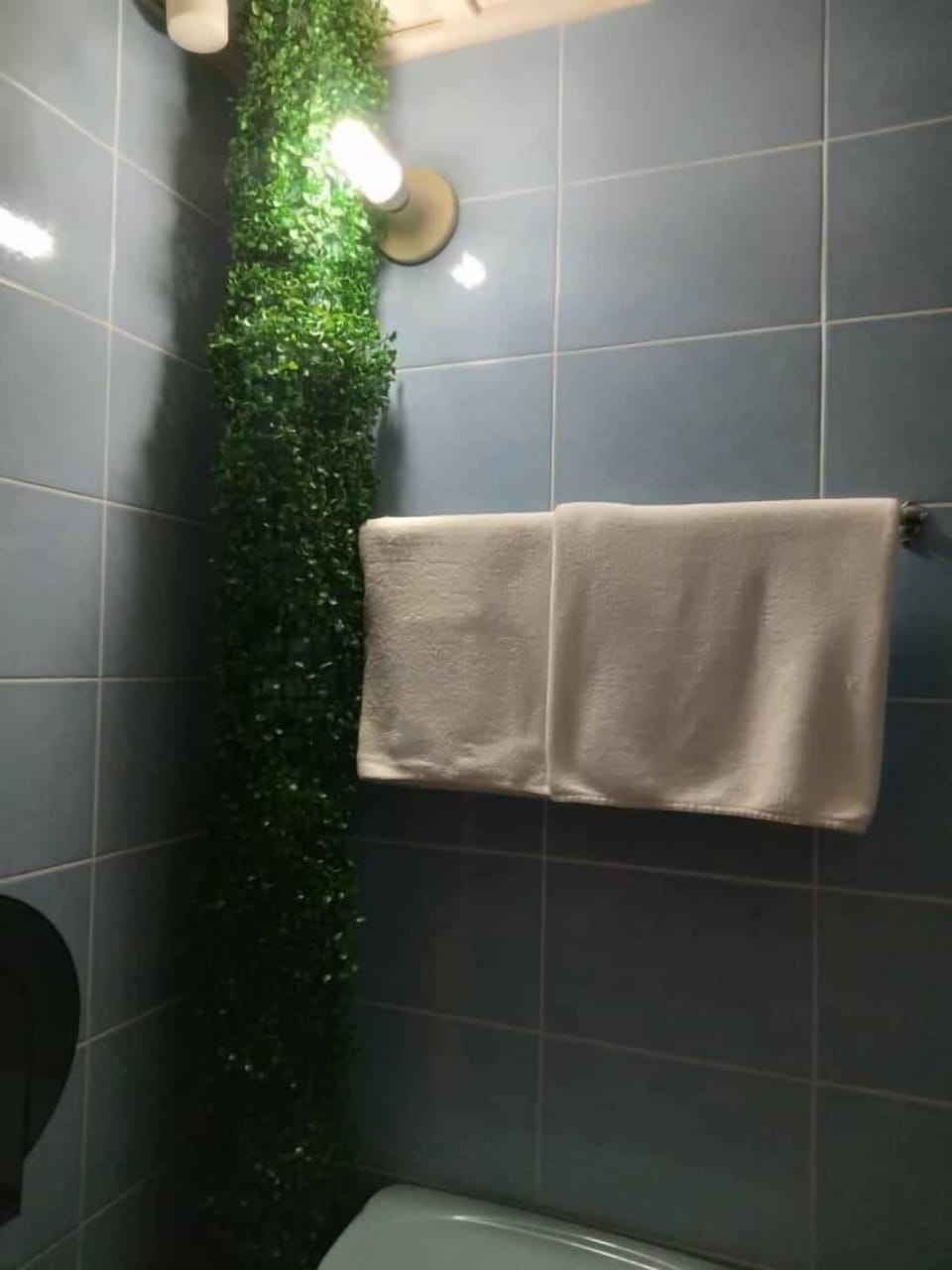 Shower, hair dryer, slippers, towels