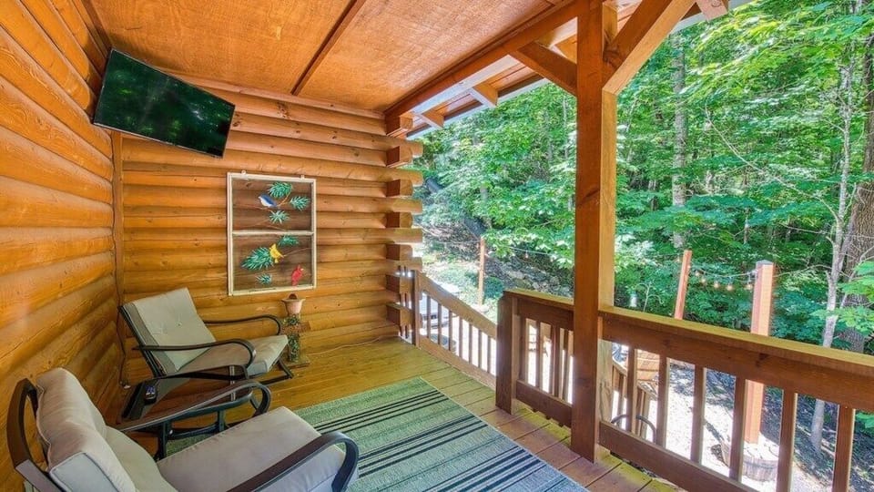 View out from Back Deck