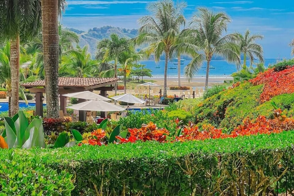 Beach Club view
