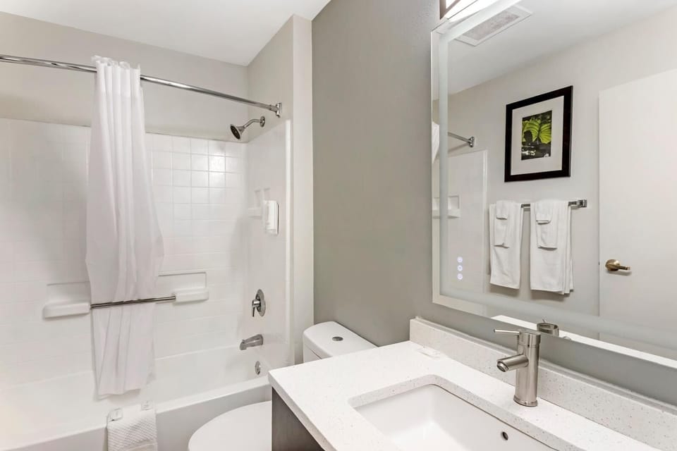 Combined shower/tub, free toiletries, hair dryer, towels