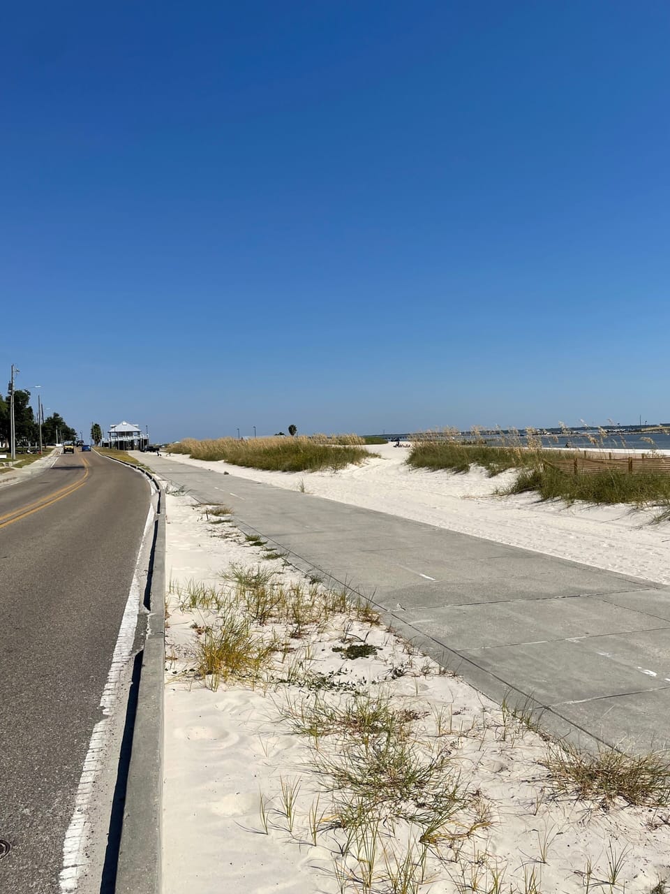Beach path 