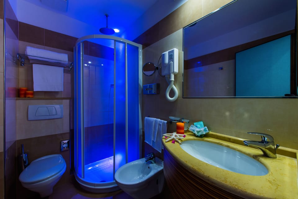 Shower, hair dryer, bidet, towels