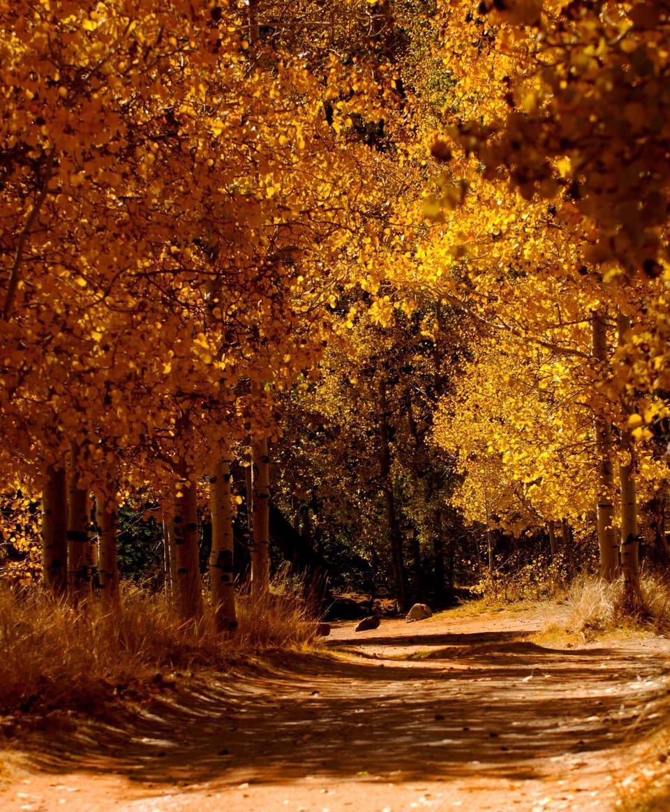 Walking holidays