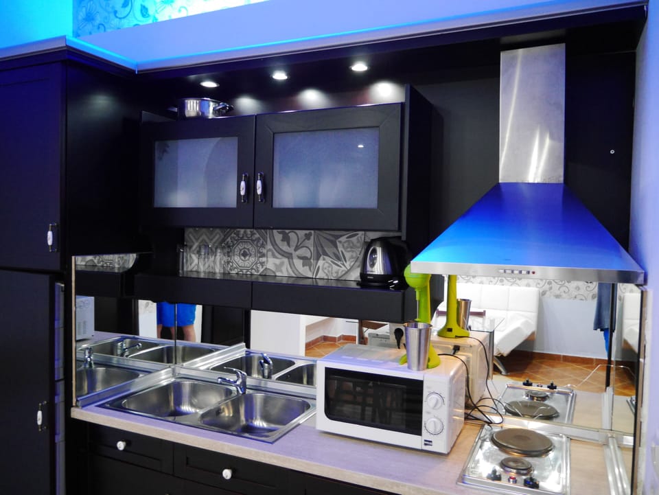 Apartment, 1 Bedroom with Garden View | Private kitchen | Fridge, stovetop, coffee/tea maker, electric kettle