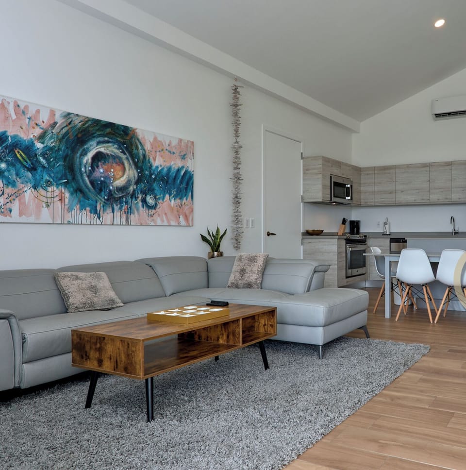 Living room and kitchen area