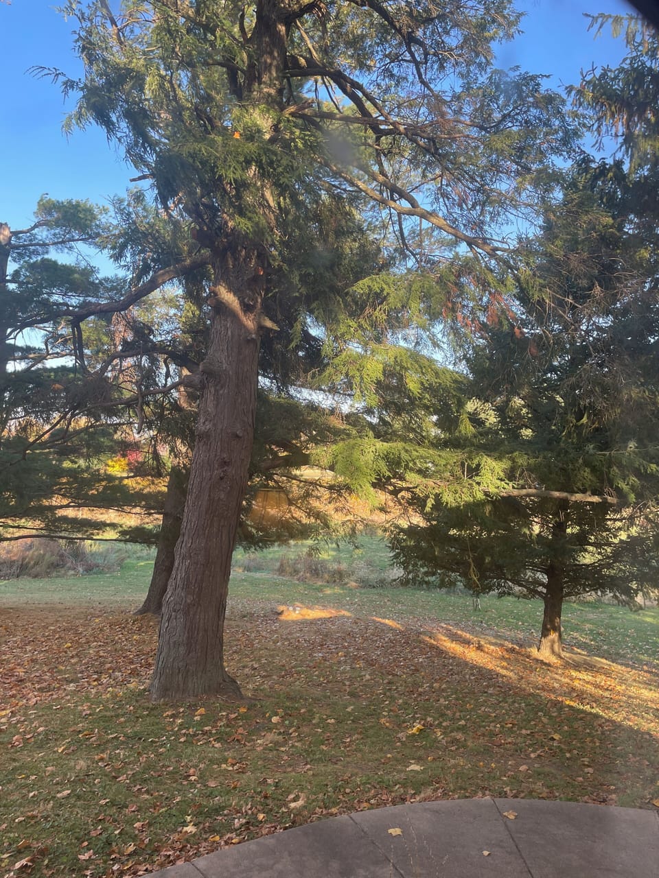 Room (Esther's Garden) | Bathroom | Free toiletries, hair dryer, bathrobes, towels