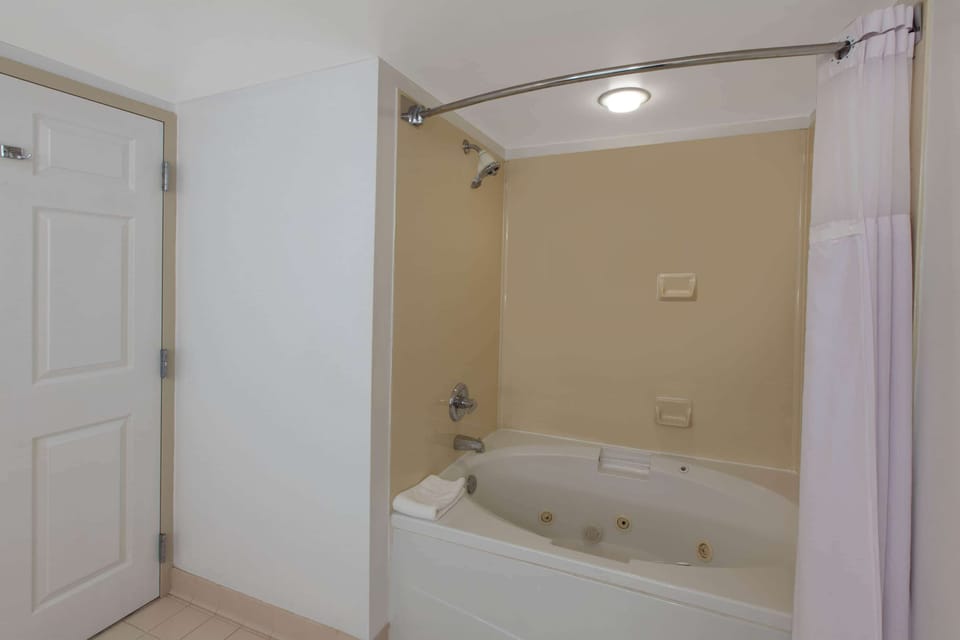 Eco-friendly toiletries, hair dryer, towels