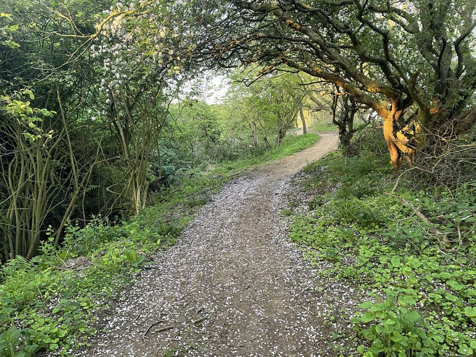 Cleveland Way