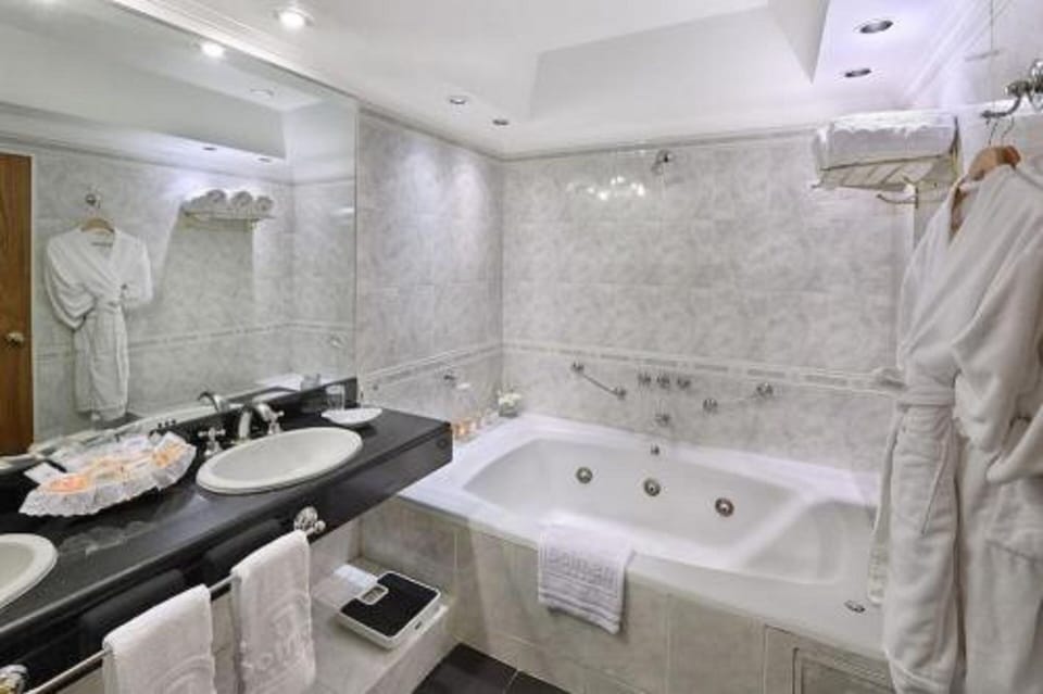 Executive Suite | Bathroom | Free toiletries, hair dryer, bidet, towels
