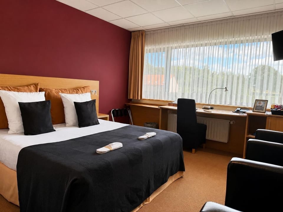 Standard Double Room | Down comforters, minibar, in-room safe, desk