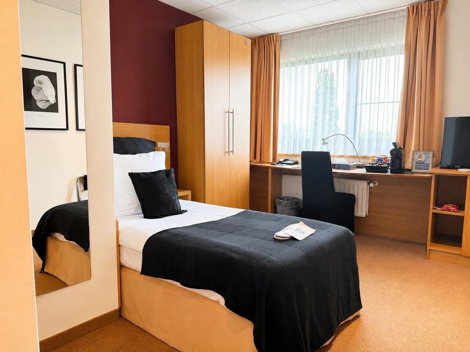 Standard Single Room | Down comforters, minibar, in-room safe, desk
