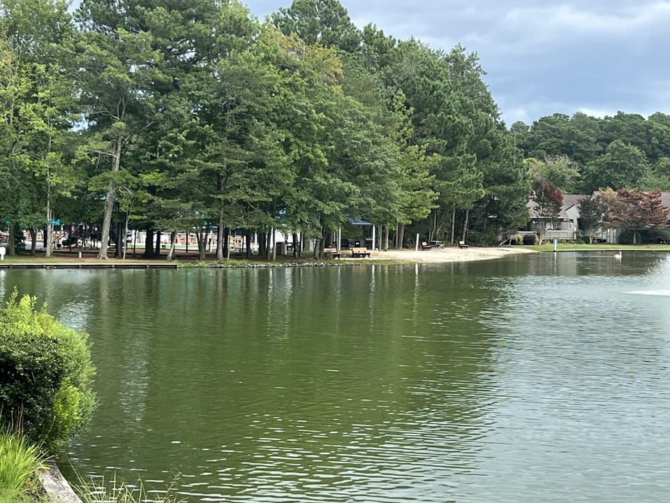 West lake activity center https://www.seacolony.com/west-lake-activity-center