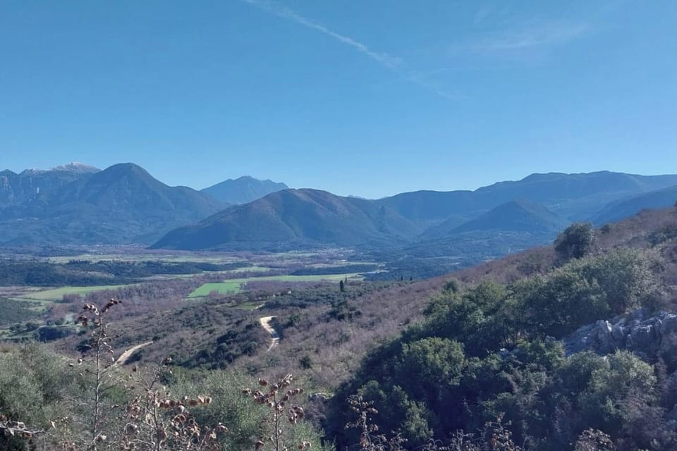 Image 12