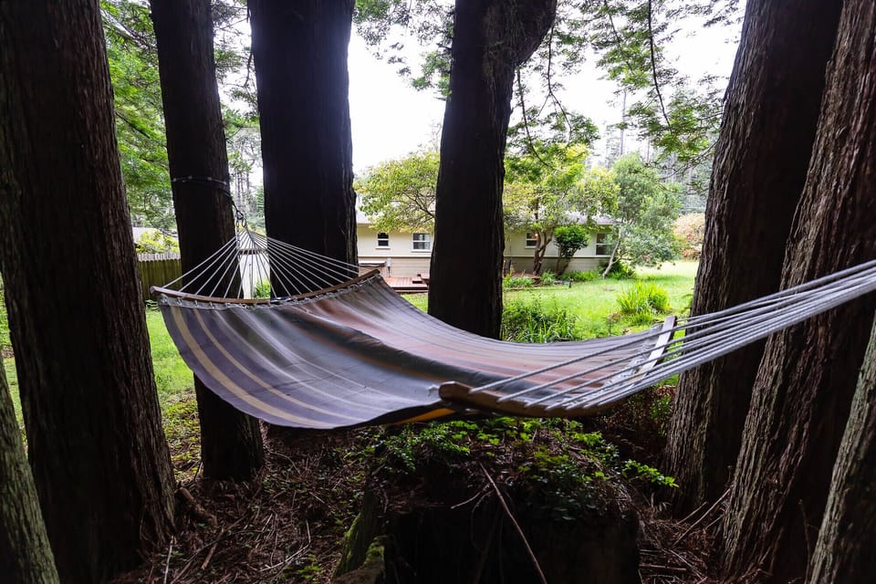 Immerse yourself within the redwood forest with this unique 2 person hammock.