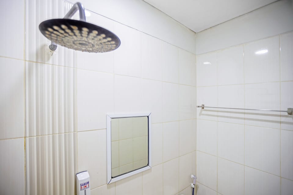 Shower, free toiletries, bidet, towels