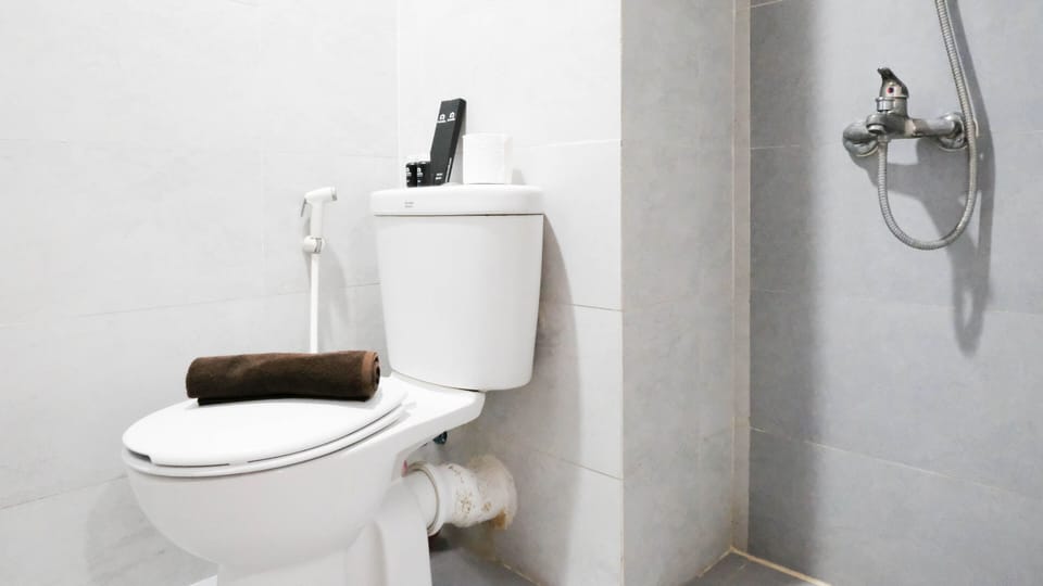 Apartment | Bathroom | Shower, free toiletries, towels