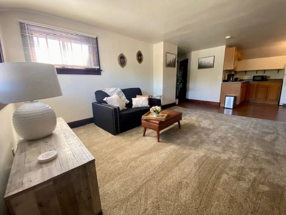 Spacious living room with built in closet for storage and private access to a small second floor patio.