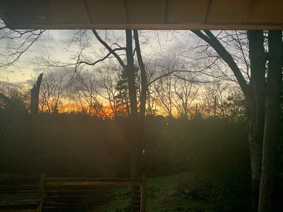 Relaxing sunset on the back deck. 