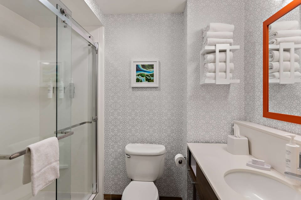 Studio, 1 King Bed, Accessible (Mobility and Hearing) | Bathroom shower