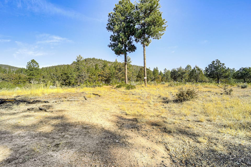 Surrounding Area