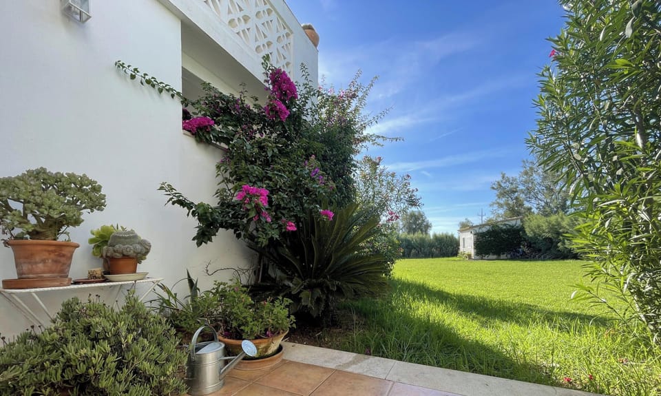 Spacious garden with lawn, Mediterranean plants and a terrace area with decorative pots.