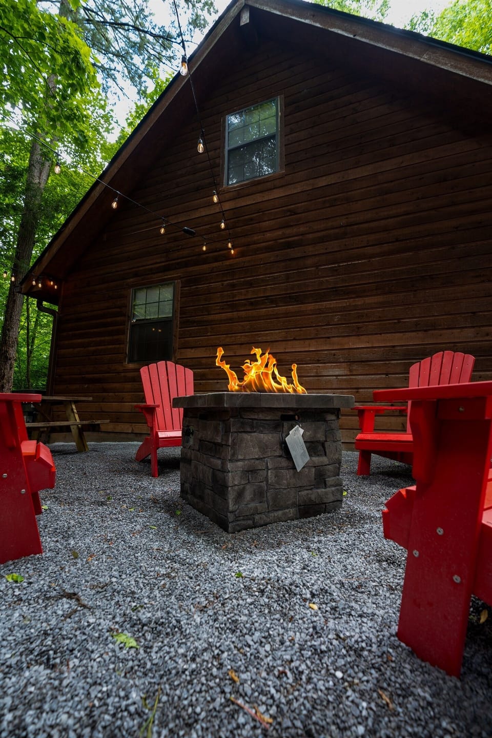 Time to make s'mores!