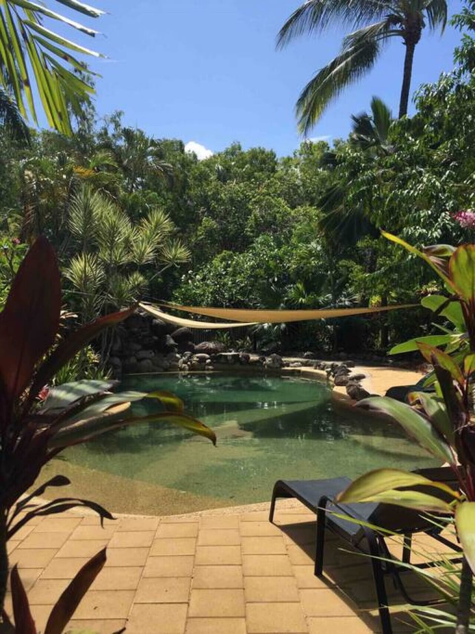 Wayfarer Apartment- The tropical lagoon style pool surrounded by lush gardens
