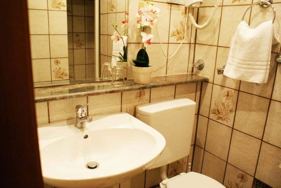 Single Room | Bathroom | Rainfall showerhead, free toiletries, hair dryer, towels