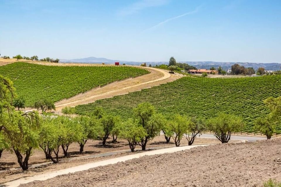 Vineyard Views, and just minutes to Downtown