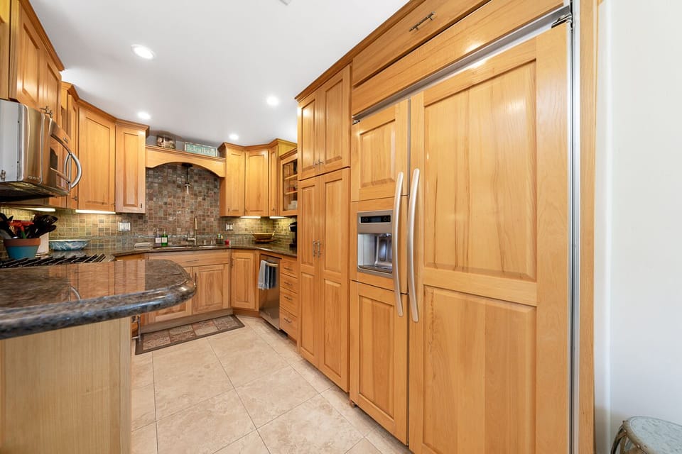 Large pantry and fridge + countertop icemaker
