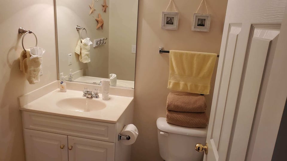 Guest bathroom 1.