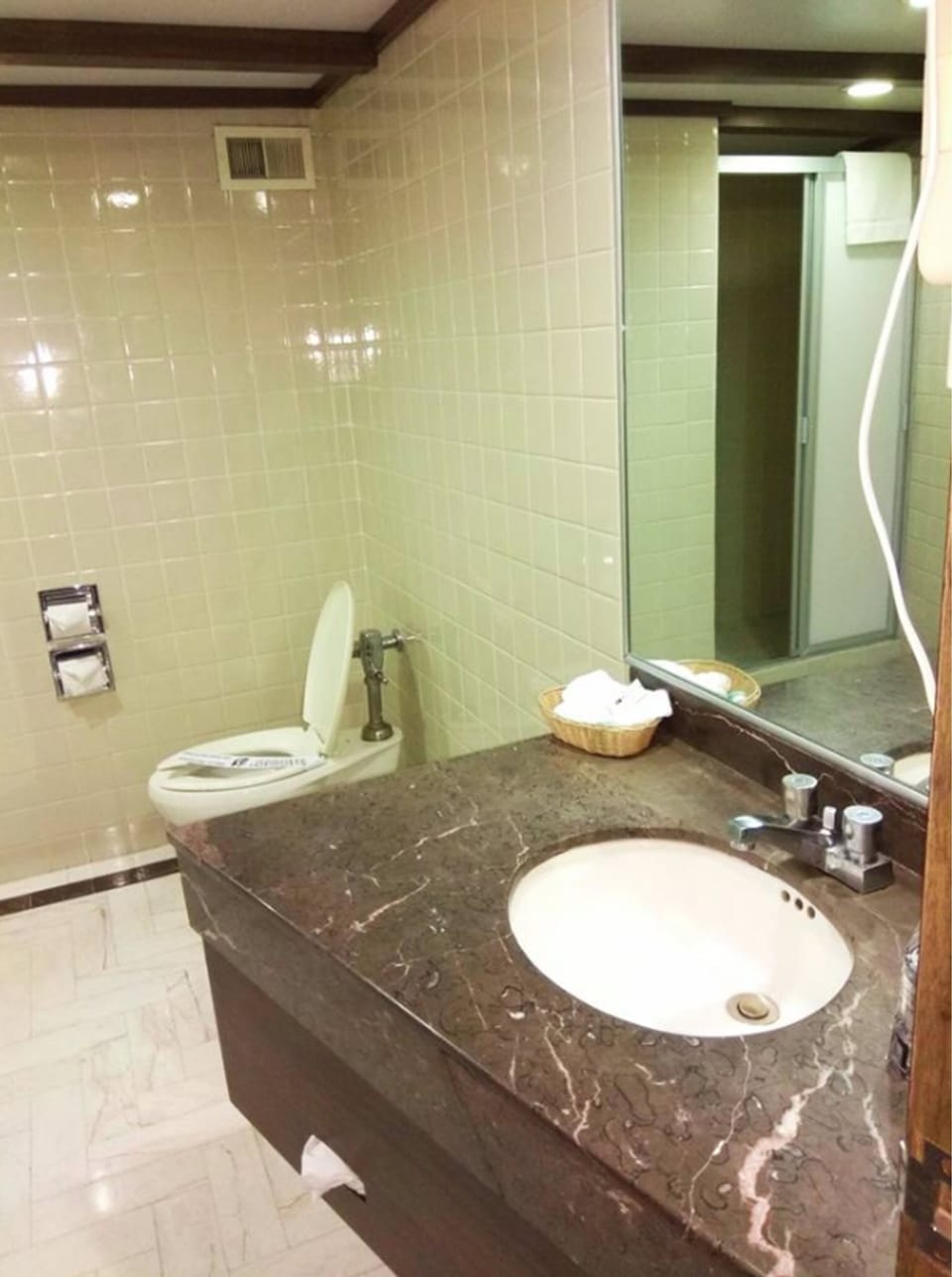 Shower, hair dryer, bidet, towels