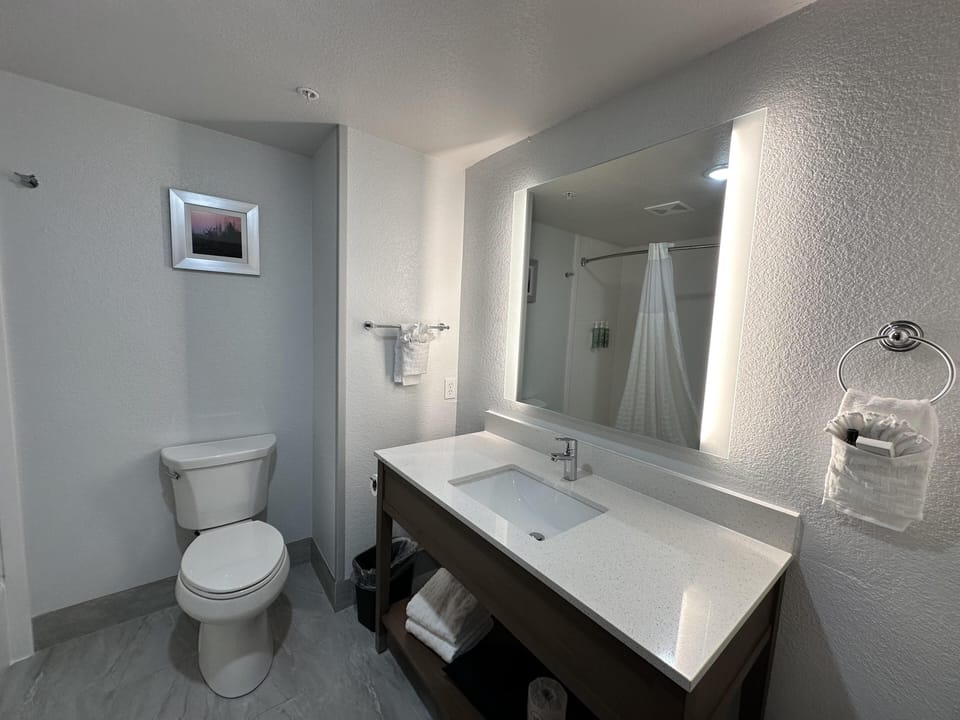Standard Room, 1 King Bed, Non Smoking, Refrigerator & Microwave | Bathroom | Combined shower/tub, hydromassage showerhead, free toiletries