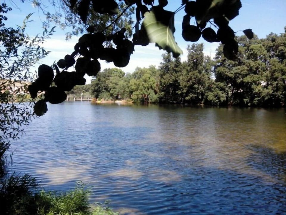 Lake