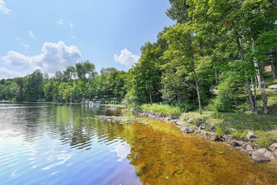 Summer shoreline views