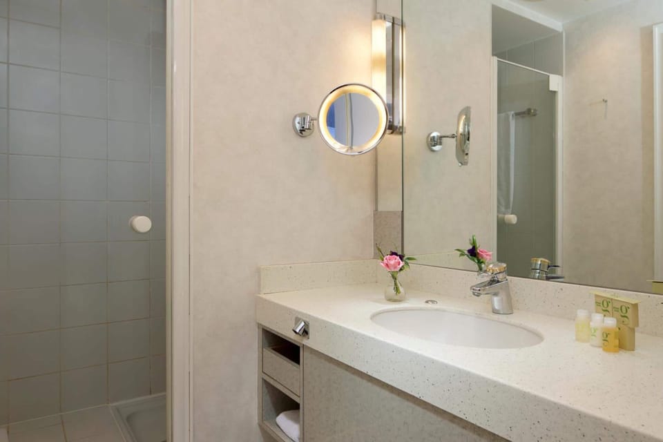 Deluxe Room | Bathroom | Eco-friendly toiletries, hair dryer, towels